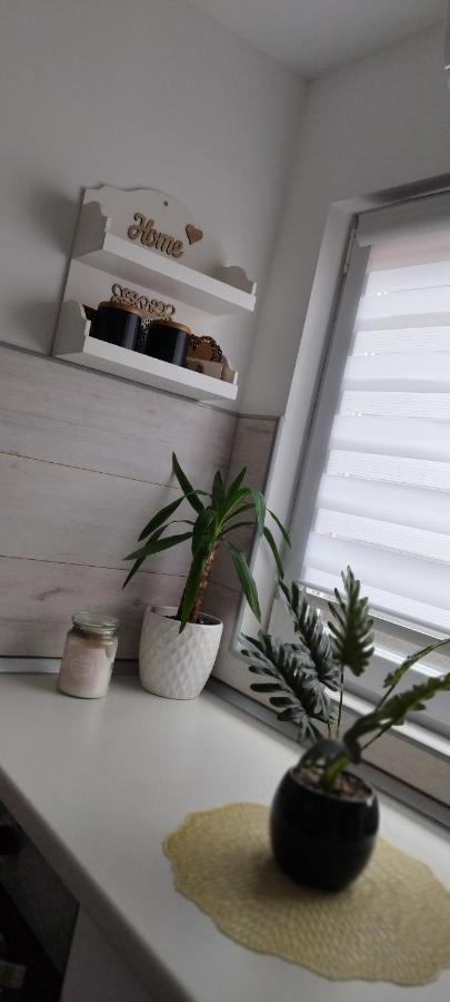 Queen Apartmancic Zaječar Exteriör bild