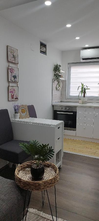Queen Apartmancic Zaječar Exteriör bild